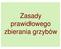 Zasady prawidłowego zbierania grzybów