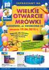 otwarcie 19.06.2015 r.