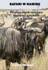 Pierszy ebook opisujący wyprawę i polowanie w Namibii. This book is for sale at http://leanpub.com/safariwnamibii
