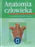 Warstwy cewy pokarmowej: 1. Błona śluzowa. nabłonek. blaszka właściwa muscularis mucosae. 2. Błona podśluzowa