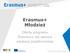 Erasmus+ Młodzież. Oferta programu Erasmus+ dla sektora edukacji pozaformalnej