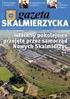 UCHWAŁA Nr VI / 81 / 2011 RADY GMINY GOŁUCHÓW z dnia 26 maja 2011 roku