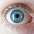 Oko ludzkie i wady wzroku. Budowa oka Jak powstaje obraz? Wady wzroku