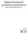 Diagnoza lokalnych problemów społecznych