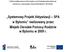 Systemowy Projekt Aktywizacji SPA w Bytomiu realizowany przez Miejski Ośrodek Pomocy Rodzinie w Bytomiu w 2009 r.