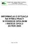 INFORMACJA O SYTUACJI NA RYNKU PRACY W POWIECIE OPOLSKIM I MIEŚCIE OPOLU ZA ROK 2003