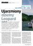 Ujarzmiony dzielny Leopard