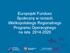 Europejski Fundusz Społeczny w ramach Wielkopolskiego Regionalnego Programu Operacyjnego na lata 2014-2020