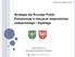 Strategia dla Rozwoju Polski Południowej w obszarze województwa małopolskiego i śląskiego