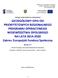 SZCZEGÓŁOWY OPIS OSI PRIORYTETOWYCH REGIONALNEGO PROGRAMU OPERACYJNEGO WOJEWÓDZTWA OPOLSKIEGO NA LATA 2014-2020 Zakres: Europejski Fundusz Społeczny