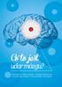 udar mózgu? Informator o udarze mózgu, z którego dowiesz się, co to jest udar mózgu i co go powoduje. Przeczytaj!