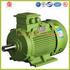 PREMIUM EFFICIENCY IE3 CLASS THREE-PHASE INDUCTION MOTORS WITH SQUIRREL-CAGE ROTOR SIZE