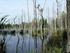 NATURA STANDARDOWY FORMULARZ DANYCH