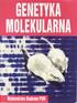 1 X. dx dt. W trakcie hodowli okresowej wyróżnia się 4 główne fazy (Rys. 1) substrat. czas [h]