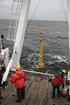 Monitoring ssaków morskich na obszarze morskiej farmy wiatrowej Bałtyk Środkowy III