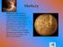 2.Układ Słoneczny. Układ Kopernika - dowody Planety, planety karłowate Pas Planetoid Pas Kuipera Obłok Oorta
