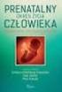 Ciąża zagadnieniem biomedycznym i psychopedagogicznym