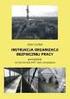 INSTRUKCJA ORGANIZACJI BEZPIECZNEJ PRACY PRZY URZĄDZENIACH I INSTALACJACH ELEKTROENERGETYCZNYCH W PORCIE LOTNICZYM LUBLIN S.A.