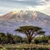 Dach Afryki Trekking na Kilimandżaro trasą Machame. Safari Jezioro Manyara, Serengeti, Ngorongoro i Rajski Zanzibar.