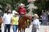 PRZEPISY KONKURENCJI COWBOY RACE POLSKIEJ LIGI WESTERN I RODEO. I. Wstęp