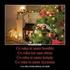 REGULAMIN PROMOCJI Święta Bożego Narodzenia 2014 w Carrefour z kartami podarunkowymi. I. Słowniczek użytych pojęć