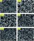 CERAMICS-POLY(METHYL METHACRYLATE) COMPOSITES OF A MATRIX FROM AN ALUMINA CERAMIC POROUS MATERIAL OBTAINED BY THE POLYMERIC SPONGE METHOD