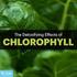 Contents of chlorophyll and selected mineral components and the yield of common thyme (Thymus vulgaris L.) at differentiated nitrogen fertilization