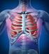 Anatomia jamy opłucnej i płuc