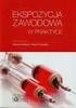 ZAWODOWA EKSPOZYCJA PRACOWNIKÓW SŁUŻB MEDYCZNYCH NA WIRUS HIV W WOJEWÓDZTWIE ŚLĄSKIM