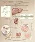 Prophylaxis of vitamin D deficiency Polish Recommendations 2009