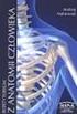 ANATOMIA CZŁOWIEKA REPETYTORIUM NA PODSTAWIE ANATOMII CZŁOWIEKA A. BOCHENKA M. REICHERA PRZYGOTOWALI UZUPEŁNIAJĄC I REDAGUJĄC