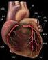 Mostek mięśniowy zwężający światło tętnicy wieńcowej znaczenie kliniczne opis trzech przypadków
