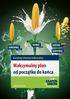 Maksymalny plon od początku do końca. Katalog odmian kukurydzy SUDRIX FAO 260 SUVISIO SUMSUMA SURTERRA NOWOŚĆ.  FAO FAO 240