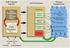 CHANGES OF THE CHOSEN CHEMICAL PROPERTIES OF SOIL AS A RESULT OF LONG-TERM CEREAL CULTIVATION IN CROP ROTATION AND MONOCULTURE*