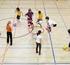 Scenariusze lekcji wychowania fizycznego w zakresie piłki siatkowej dla szkół podstawowych. Klasy1-3.