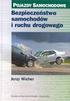 MODELOWANIE BEZPIECZEŃSTWA POJAZDÓW SAMOCHODOWYCH