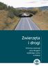 Zwierzęta i drogi. Ochrona zwierząt przy drogach szybkiego ruchu w Polsce