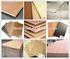 ELASTIC MODULI OF VENEERS IN PINE AND BEECH PLYWOOD