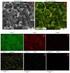 COMPARATIVE ANALYSIS OF REMOVAL OF NO X IN THE PRESENCE OF HYDROCARBONS ON OXIDES BASED CATALYSTS IN THE EXHAUST GAS OF DIESEL ENGINE