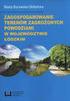 Marta Borowska-Stefańska Zagospodarowanie terenów zagrożonych powodziami w gminach województwa łódzkiego, dorzecza Odra