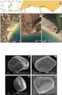 Microstructural and microtextural features of glacial tills as an indicator of subglacial conditions on the example of Lusowo (Poznan Lakeland)