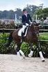 GoldenHorse Dressage Cup 2014