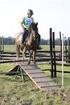 Equestrian Festival Baborówko Lista zgłoszeń / Entry list