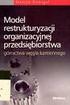 MODEL RESTRUKTURYZACJI ORGANIZACYJNEJ PRZEDSIĘBIORSTWA GÓRNICZEGO