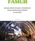Sprawozdanie Zarządu z działalności Grupy Kapitałowej FAMUR za I półrocze 2011 roku