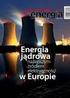 USA zawładną litewską energetyką?