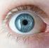 Warstwy ściany gałki ocznej: nerw wzrokowy. Warstwy: błona Descemeta (kolagen VIII i błona podstawna) nabłonek jednowarstwowy.
