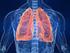 Samoistne włóknienie płuc (SWP) choroba osób starszych Idiopathic pulmonary fibrosis (IPF) disease of the elderly