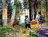 Konkurs europejski Young People in European Forests jako narzędzie edukacji przyrodniczo leśnej