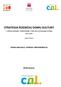 STRATEGIA ROZWOJU DOMU KULTURY - OPRACOWANIE I WDROŻENIE STRATEGII DZIAŁANIA DOMU KULTURY